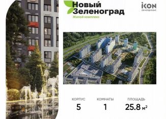 Продам 1-комнатную квартиру, 25.8 м2, деревня Рузино