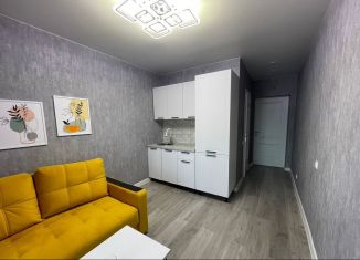 Продается квартира студия, 21 м2, Сочи, улица Победы, 153к3