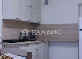 Продается 1-комнатная квартира, 33.7 м2, Санкт-Петербург, Пейзажная улица, 10, Красногвардейский район