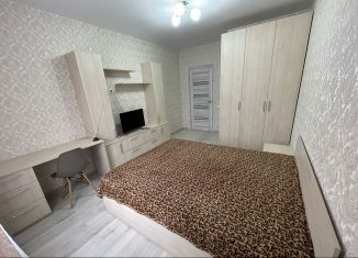 Сдам в аренду 2-ком. квартиру, 60 м2, Пенза, Комсомольская улица, 24