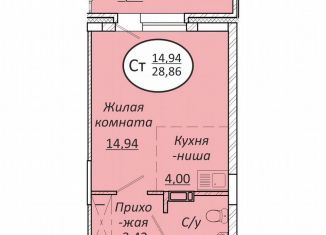 Продам квартиру студию, 28.9 м2, Новосибирск, Октябрьский район