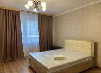 Сдается 1-ком. квартира, 38 м2, Московская область, Берёзовая улица, 10