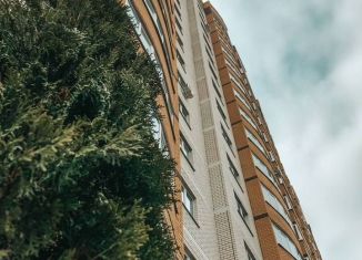 Продам однокомнатную квартиру, 52.7 м2, Воронеж, улица Лётчика Филипова, 6, ЖК Спутник