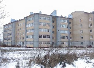 Продам 1-комнатную квартиру, 46 м2, Арзамас, Зелёная улица, 38А