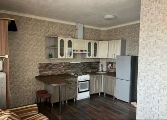 Сдам квартиру студию, 20.7 м2, Аксай, Донская улица, 12А