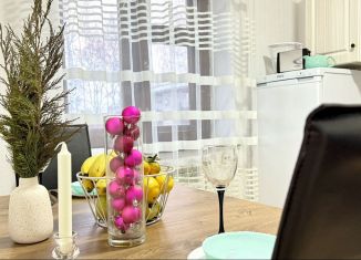 Сдается в аренду дом, 50 м2, Республика Башкортостан, Трассовая улица, 5