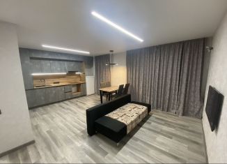 Сдам 3-ком. квартиру, 70 м2, Ульяновск, улица Репина, 55