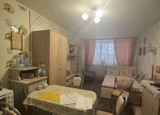 Продам квартиру студию, 22.5 м2, деревня Хохряки, Тепличная улица, 30