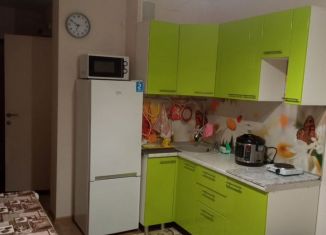 Сдаю в аренду квартиру студию, 20 м2, Татарстан, Садовая улица, 7