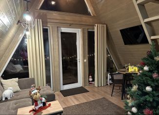 Сдам дом, 38 м2, деревня Бакино, Центральная улица