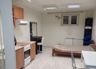 Сдается квартира студия, 25 м2, Мытищи, Рождественская улица, с8