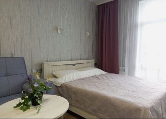 Сдается квартира студия, 33 м2, Краснодарский край, улица Гайдара, 22к1