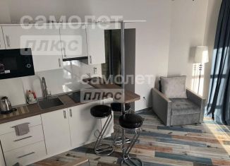 Продажа однокомнатной квартиры, 25 м2, Горячий Ключ, Санаторная улица, 11