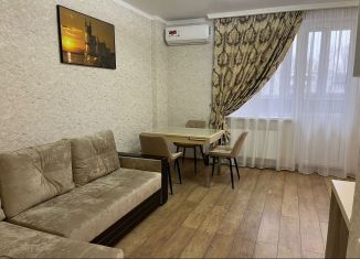 Сдаю квартиру студию, 30 м2, Ростов-на-Дону, переулок Дунаевского, 17, ЖК Симфония