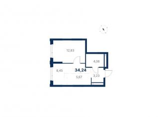 Продам 1-комнатную квартиру, 34.2 м2, Екатеринбург, улица Титова, 19/42И, метро Чкаловская