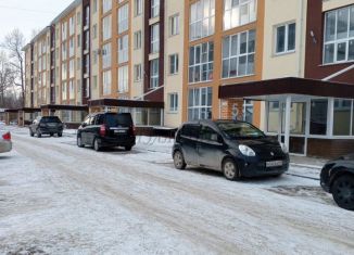 Сдам в аренду квартиру студию, 34 м2, село Майма, улица Ленина, 60