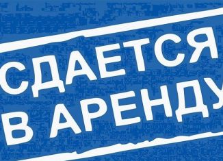 Сдам складское помещение, 600 м2, Биробиджан, улица Биршоссе 2-й км, 23