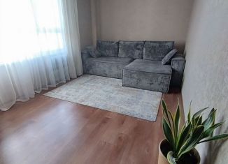 2-комнатная квартира на продажу, 51.1 м2, Барнаул, улица Сергея Семёнова, 18