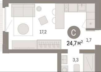 Продаю квартиру студию, 24.7 м2, Липецкая область, площадь Петра Великого, 1