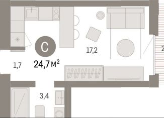 Продаю квартиру студию, 24.7 м2, Липецкая область, площадь Петра Великого, 1