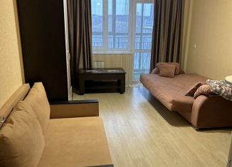 Сдаю квартиру студию, 25 м2, Екатеринбург, улица Крестинского, 35