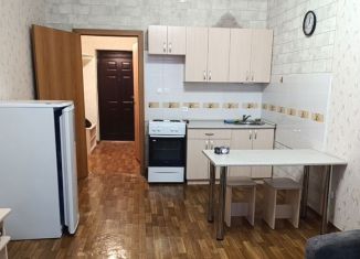 Сдается квартира студия, 30 м2, Красноярск, улица Карамзина, 14, Свердловский район