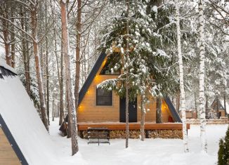 Сдача в аренду дома, 60 м2, деревня Красный Огорок