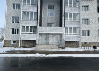 Продам однокомнатную квартиру, 48 м2, Алтайский край, Бийская улица, 15/1