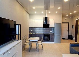 Продается квартира студия, 33 м2, деревня Ивановское, улица Семёна Гордого, 12