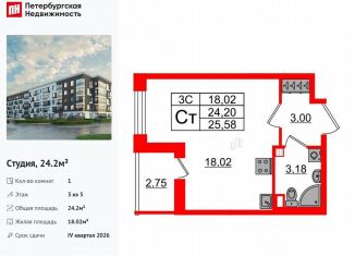 Продажа квартиры студии, 24.2 м2, Санкт-Петербург, метро Звёздная