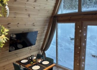 Сдача в аренду дома, 60 м2, поселок городского типа Шерегеш, Славянская улица, 75