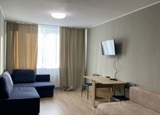 Квартира в аренду студия, 30 м2, Екатеринбург, Дорожная улица, 12, ЖК Весна