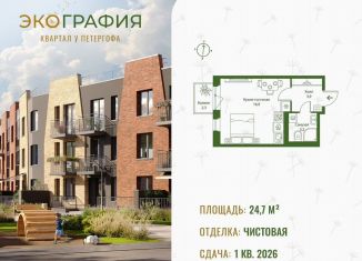 Квартира на продажу студия, 24.7 м2, деревня Ольгино, деревня Ольгино, 1