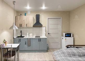 Продам квартиру студию, 23 м2, Ломоносов, Михайловская улица, 51