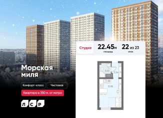 Продается квартира студия, 22.5 м2, Санкт-Петербург, Красносельский район