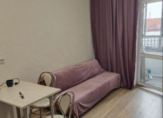 Сдам в аренду квартиру студию, 22 м2, Екатеринбург, улица Новостроя, 9