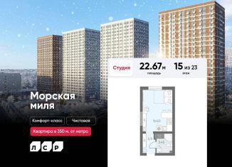 Квартира на продажу студия, 22.7 м2, Санкт-Петербург, метро Проспект Ветеранов