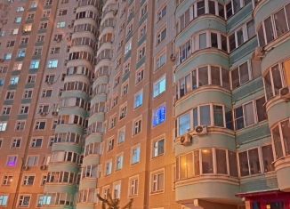 Продажа квартиры студии, 22.6 м2, Москва, Покровская улица, 31, район Некрасовка