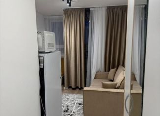 Аренда квартиры студии, 20 м2, Екатеринбург, улица Лыжников, 3