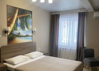 Сдается квартира студия, 25 м2, Тольятти, Офицерская улица, 35