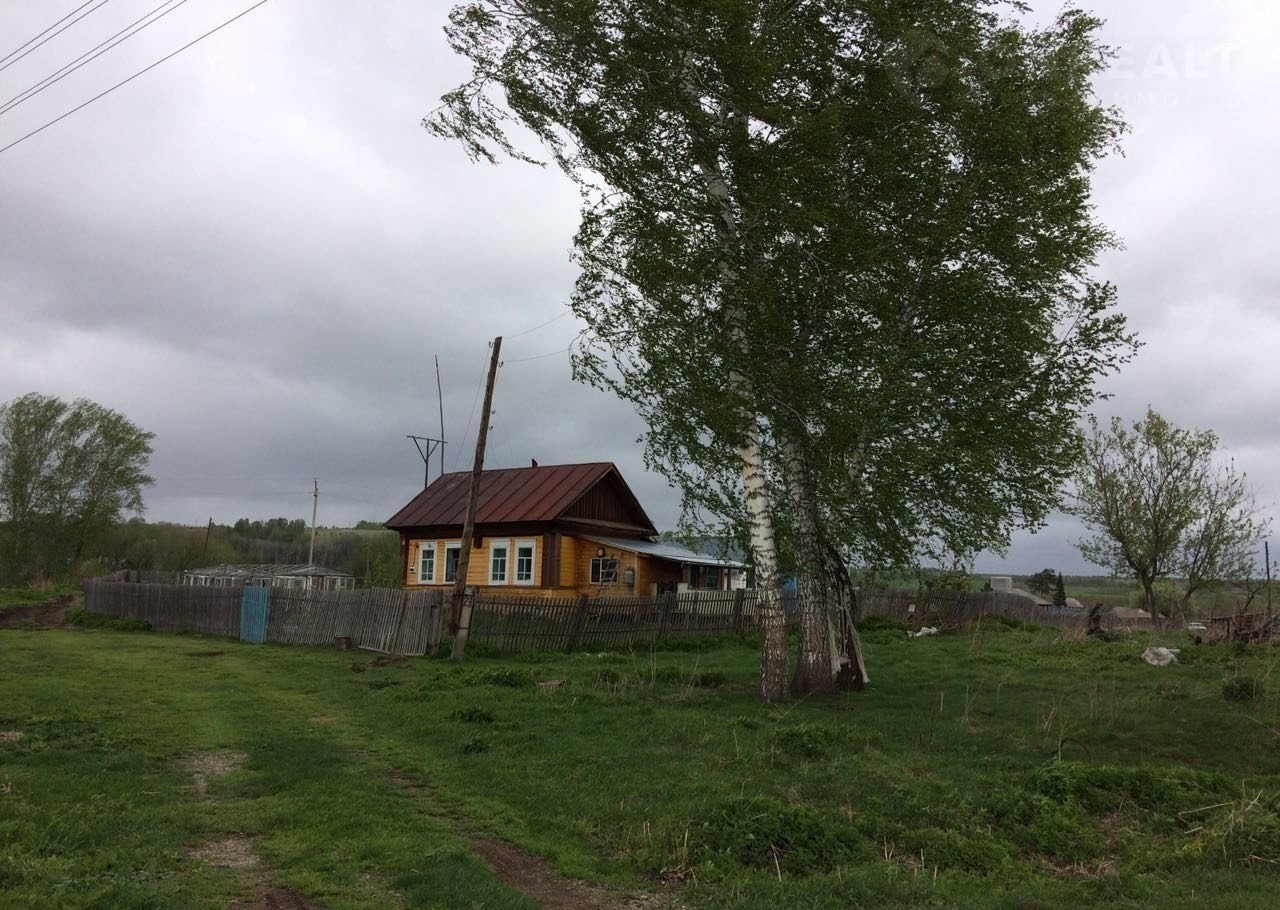 Ельцовка алтайский край. Черемшанка Ельцовский район. Село Черемшанка Алтайский край. Новокаменка Алтайский край Ельцовский район.