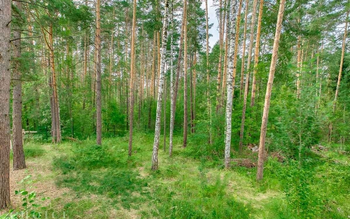 Купить Участок В Лесу В Красногорском Районе